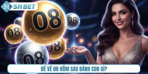 đề về 08 hôm sau đánh con gì