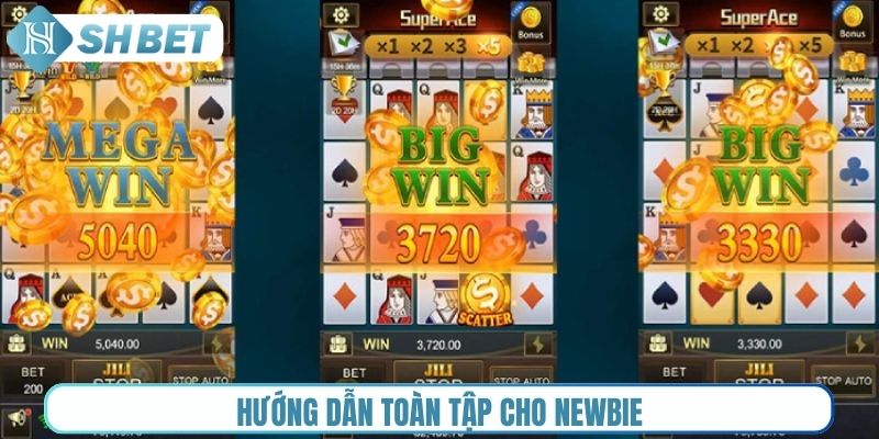 Hướng dẫn toàn tập cho newbie
