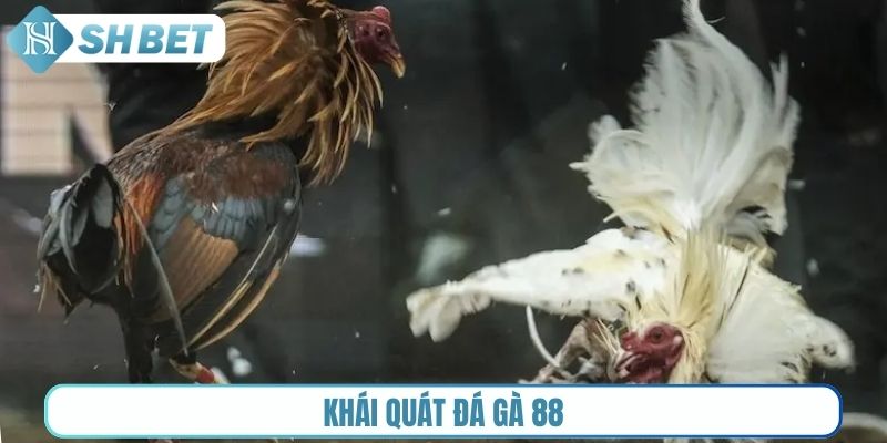 Khái quát Đá gà 88