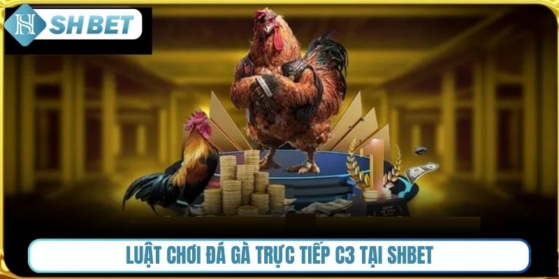 Luật chơi đá gà trực tiếp C3 tại Shbet
