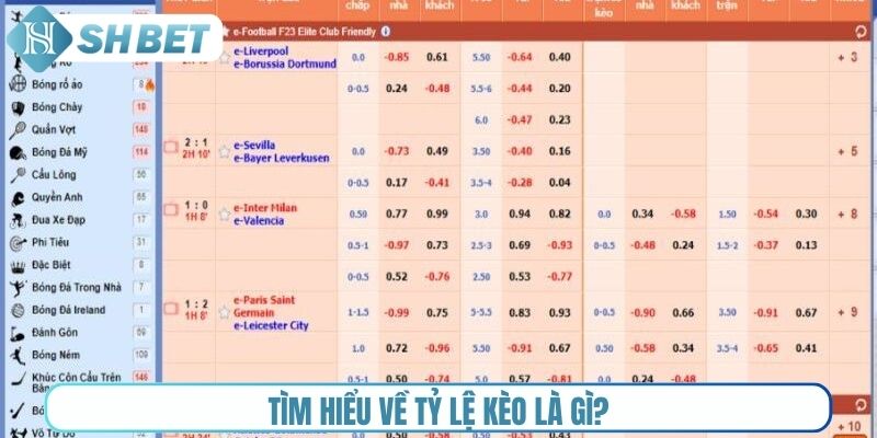 Tìm hiểu về tỷ lệ kèo là gì?