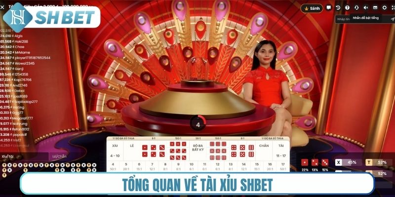 Tổng quan về Tài Xỉu Shbet
