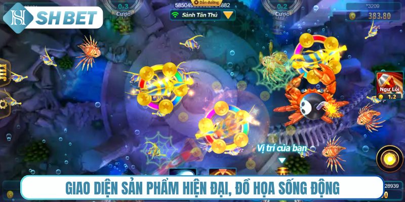 Giao diện sản phẩm hiện đại, đồ họa sống động