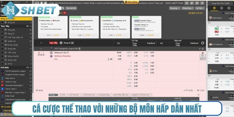 Cá cược thể thao với những bộ môn hấp dẫn nhất hành tinh